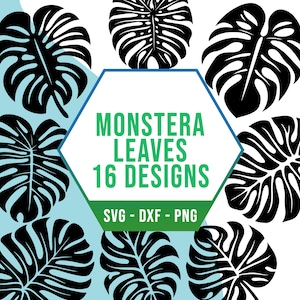 Giant Monstera SVG PNG Bundle, Cute Tropical Leaves SVG Pack, Cricut Silhouette Files for Laser Cutter