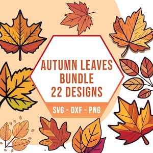 Niedliche Herbst Blätter SVG PNG Bundle, Orange Herbst Blatt SVG Pack, Cricut Clipart Dateien