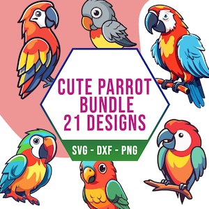 Cute Colorful Parrot Bird SVG PNG Bundle, Very Cute Parrot and Macaw SVG Pack, Cricut Clipart Files