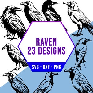 Wilder Rabe SVG-Bundle, Waldkrähe Vogel SVG-Pack, Cricut Silhouette PNG-Dateien für Laser Cutter