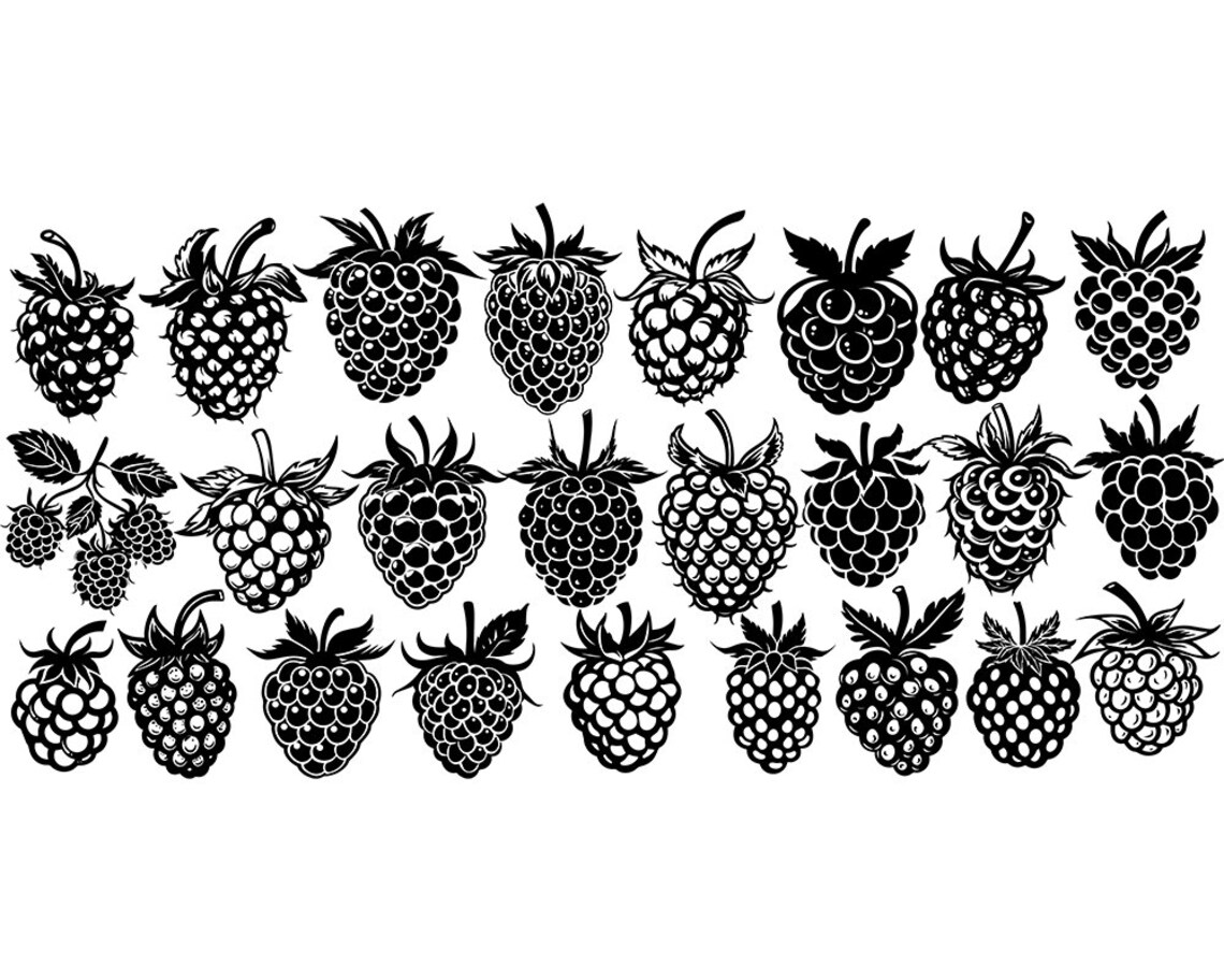 Black Raspberry Svg Cute Raspberry SVG Bundle, Wild Fruit Blackberry SVG Pack, Cricut ...