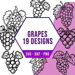 Grape Fruit SVG Bundle, Healthy Natural Snack SVG Pack, Cricut Silhouette PNG Files for Laser Cutter