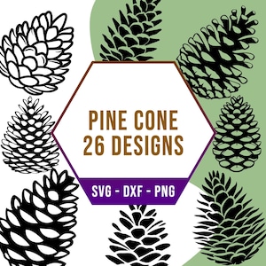 Pacchetto SVG pigna, pacchetto SVG Forest Wood Land, file PNG Cricut Silhouette per taglio laser