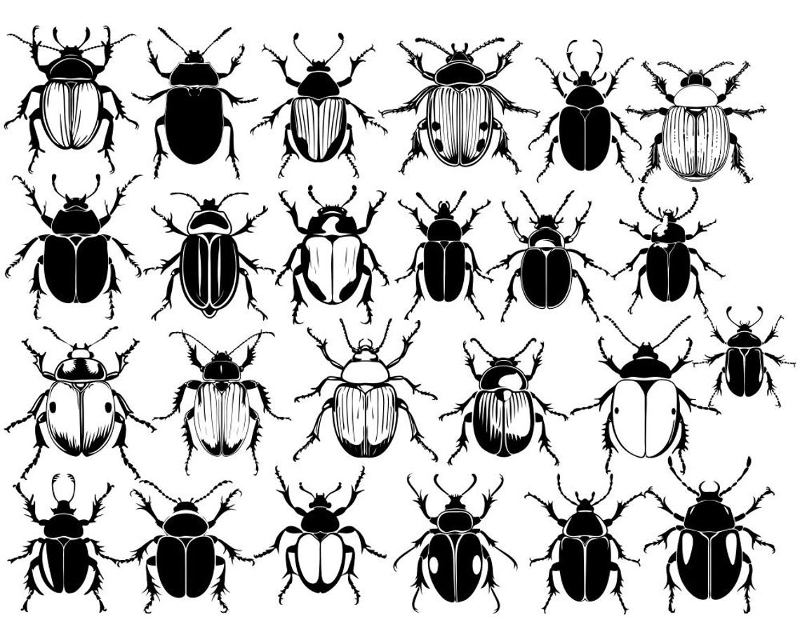 Insect Beetle SVG Bundle, Cute Nature Bug SVG Pack, Cricut Silhouette ...