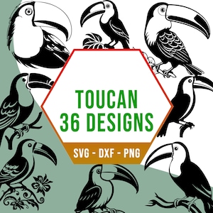 Pacchetto PNG SVG di uccelli tucani tropicali, pacchetto SVG di uccelli carini della foresta pluviale, file Cricut Silhouette per taglierina laser