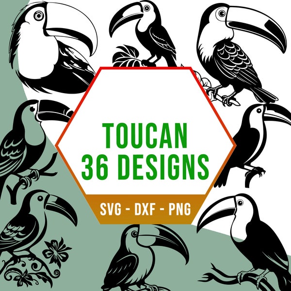 Tropical Toucan Birds SVG PNG Bundle, Rain Forest Cute Bird SVG Pack, Cricut Silhouette Files for Laser Cutter