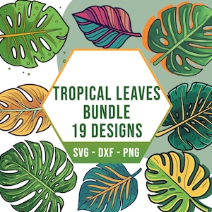 Tropical Leaves SVG PNG Bundle, Palm Tree Leaf SVG Pack, Cricut Clipart Files