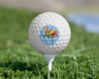 Juego de regalo de pelotas de golf de 6 piezas, Ave del paraíso, accesorio personalizado para juegos y campos de golf