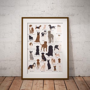 Dog Breed Alphabet Poster