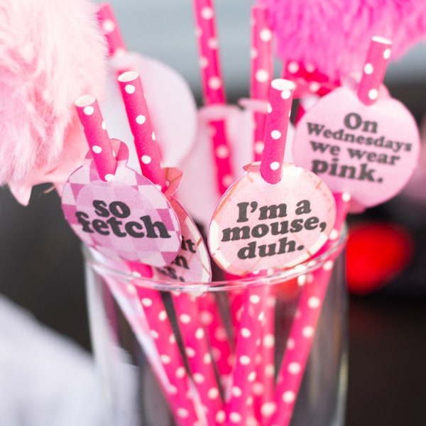 Mean Girls Party Straw Decoration/ Topper