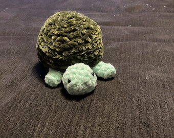 Medium sized turtle