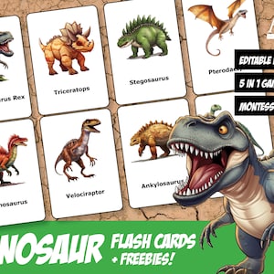 Dinosaurier Flash Karten • Montessori Karten • Nomenklatur • PDF druckbare Karten • Vorschule • Spielzeug • KOSTENLOSE Malvorlagen + zusätzliche Aktivitäten!