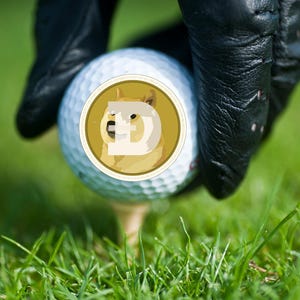 Doge coin golf balls, gift for crypto enthusiast, Crypto gift, Doge gift