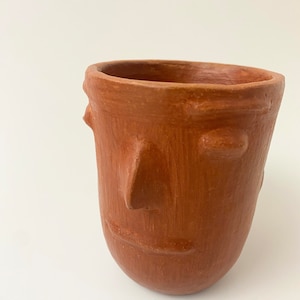 May include: A terracotta planter shaped like a face with a nose, eyes, and a mouth. The planter is a reddish-brown color.