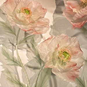 Puede incluir: Tres delicadas flores de amapola blancas transl&uacute;cidas con reflejos rosados y centros verdes. Las flores est&aacute;n dispuestas sobre un fondo blanco con tallos y hojas verdes.