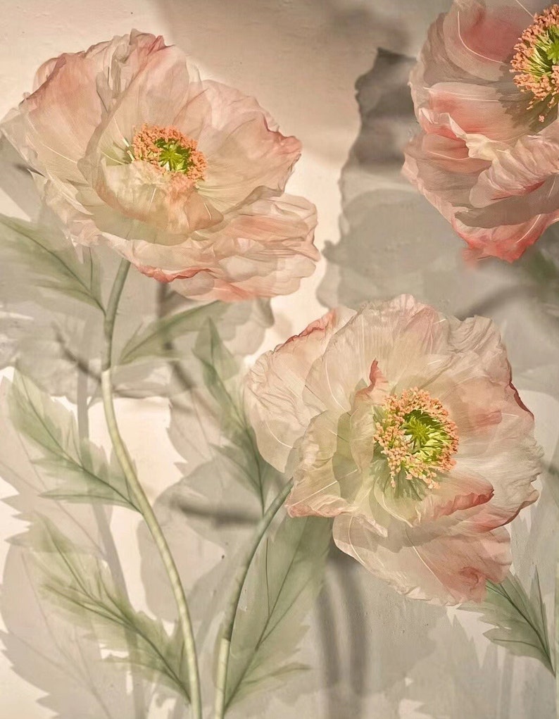 Puede incluir: Tres delicadas flores de amapola blancas transl&uacute;cidas con reflejos rosados y centros verdes. Las flores est&aacute;n dispuestas sobre un fondo blanco con tallos y hojas verdes.