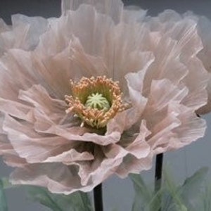 Puede incluir: Una delicada flor de amapola de seda de color rosa p&aacute;lido con un centro detallado. La flor est&aacute; en un tallo y parece ser parte de un arreglo floral.