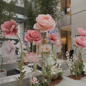 Fiori giganti sbocciano splendidi, perfetti per eventi, compleanni, matrimoni, sfondo aziendale 23PGF29