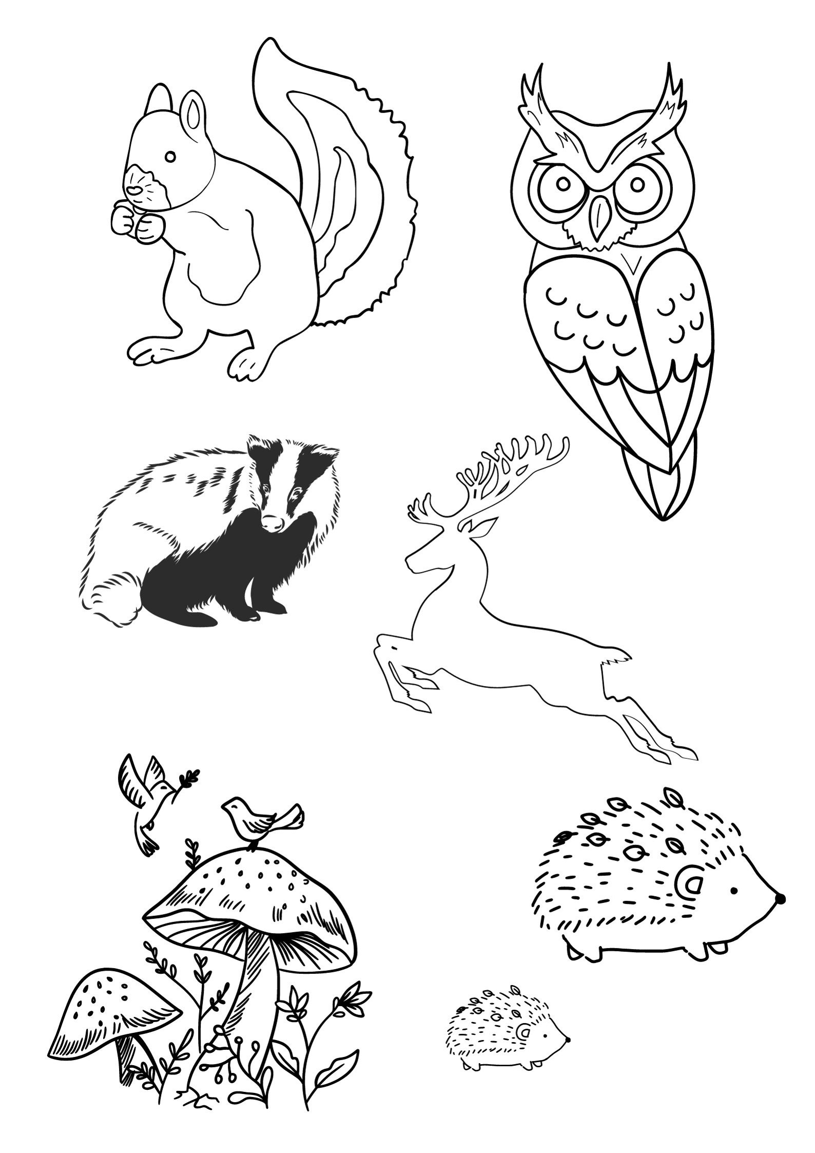 Printable Colouring Sheets, Colouring Sheets, Printable Colouring ...