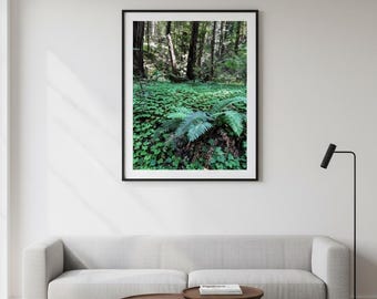 Estampado de helechos y hiedra