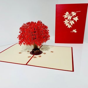 Japanischer Rotahornbaum Karte - Hergestellt von Origami Pop Cards, Australien - 3D Papier Pop Up Karten - OrigamiPopCards.com Hand Made with Love
