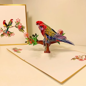 LUXE GOLD Couple Eastern Rosella Perroquet Australian Bird Origami Pop Cards Pop Up Carte de voeux Anniversaire BOUTIQUE https://origamipopcards.com/