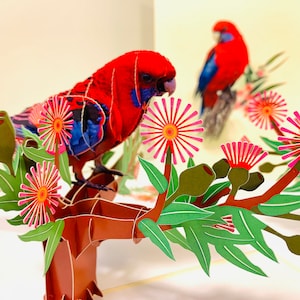 Papagaio Rosela Carmesim, Pássaro Australiano com Goma Nativa, Flor Nativa, Cartões Pop-up de Origami, Cartão de Felicitações 3D, Feliz Aniversário, Feito à Mão, Amor
