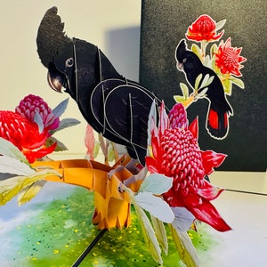 Cacatua preta de cauda vermelha, pássaro australiano, waratah vermelho, cartões pop-up de origami, cartão de felicitações pop-up 3D, feliz aniversário, obrigado, presentes australianos