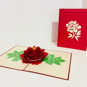 Große Pfingstrose und rote Rose Karte - Original von Origami Pop Cards, Sydney Australia - 3D Pop Up Karten - OrigamiPopCards.com Hand Made with Love
