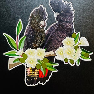 DOUBLE Red-Tailed & Yellow-Tailed Black Cockatoos Aussie Bird Origami Pop Cards 3D Pop Up Cartão de felicitações Feliz aniversário Presentes australianos