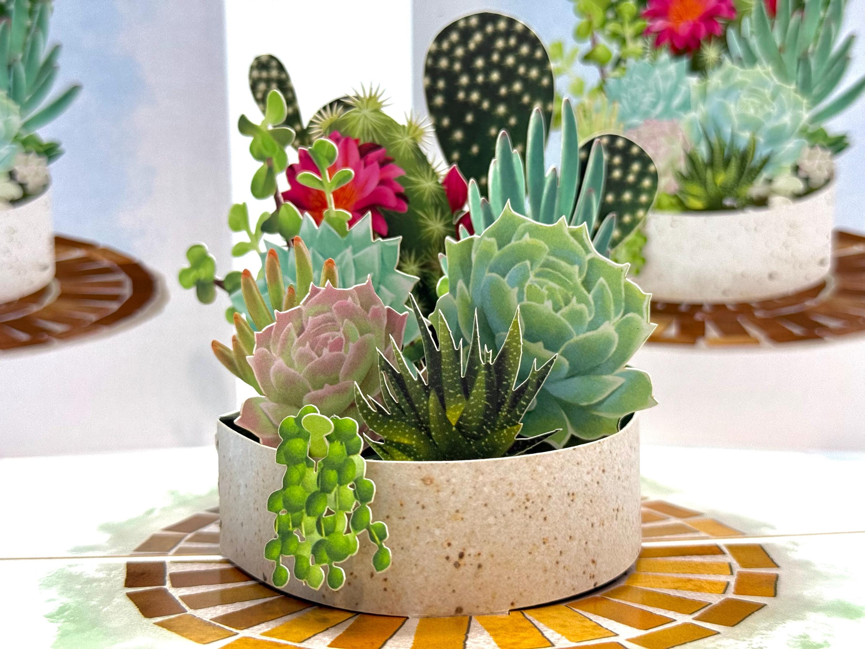 Cactus & Succulent Garden 3D Pop up Greeting Card Happy Birthday Handmade  Love Origami Pop Cards Shop Online Https://origamipopcards.com/ - Etsy