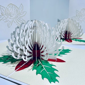Waratah Australian Native Blume in Weiß Erstellt von Origami Pop Cards Sydney 3D Papier Pop Up Karten OrigamiPopCards.com Hand Made With Love