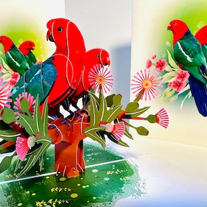 Papagaios-rei australianos DUPLOS com flores Gumnuts Origami Pop Cards 3D Pop Up Cartão de felicitações Feliz aniversário Obrigado Presentes australianos
