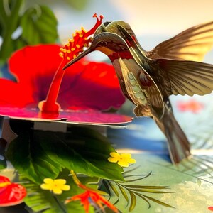 Kolibri zieht rote Hibiskusblumen an Pop Up Grußkarte Alles Gute zum Geburtstag Origami Pop Cards Shop Online https://origamipopcards.com/
