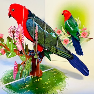 Único papagaio australiano rei pássaro florido gumnuts origami pop cartões 3d pop up cartão de felicitações feliz aniversário obrigado presentes australianos