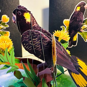 Yellow-Tailed Black Cockatoo Australian Bird Golden Gum Blossoms Origami Pop Cards 3D Pop Up Greeting Card Happy Birthday Australiana Gifts