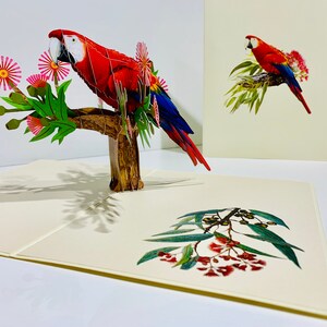 Cartão de aniversário 3D com papagaio Rosella, convite de aniversário feito à mão em origami - COMPRE ONLINE EM SYDNEY https://origamipopcards.com/
