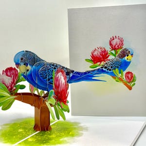 Op de afbeelding: Een 3D pop-up wenskaart met twee blauwe parkieten op een bruine tak met rode en roze bloemen. Een platte illustratie van een parkiet en bloemen is ook zichtbaar.