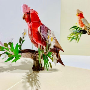 Cartão de aniversário 3D com a cacatua Galah - Cartão de convite de aniversário feito à mão em origami - SYDNEY COMPRE ONLINE https://origamipopcards.com/