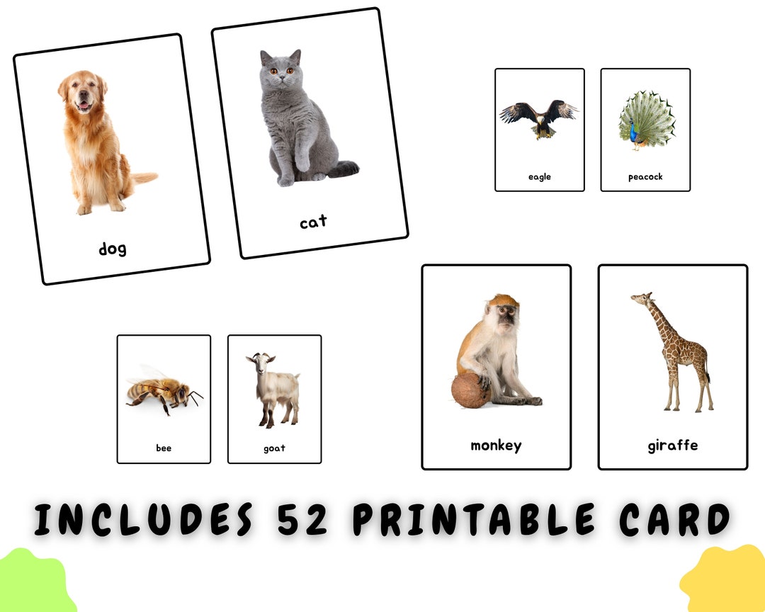52 Printable Animal Flashcards Digital Montessori Learning Etsy