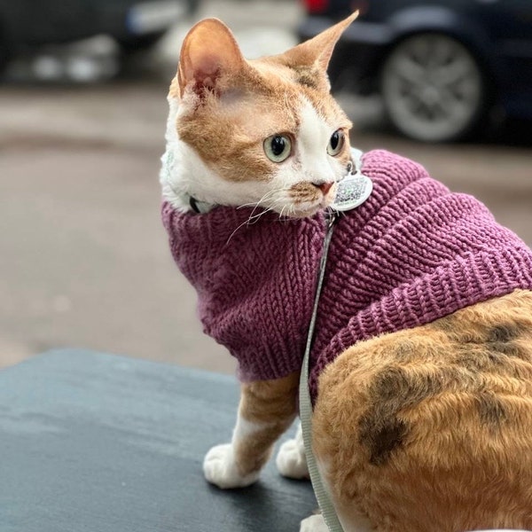 Pull tricoté confortable pour chats et chiens : Confort stylé pour vos amis à fourrure