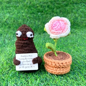 Cute Handmade Crochet Poo And Potted Flowers,Crochet flower,Funny Gift for Her/Him, Positive Poo Amigurumi