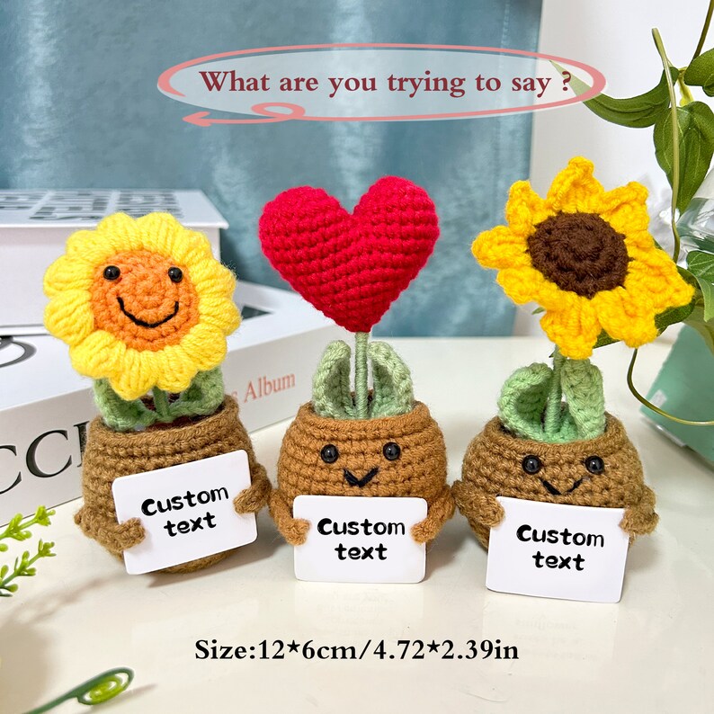 Op maat gemaakte gehaakte bloempotplant, cadeau voor moeder/vrouw/vriendin, schattige bureauaccessoires, liefde uiten afbeelding 2