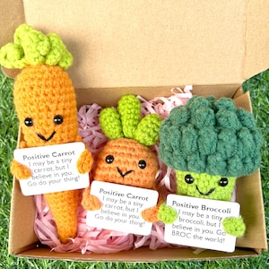 Häkeln Sie Karotte-Positive Gemüse Geschenk-Häkeln Sie Positiv Brokkoli-Baby Karotte/Brokkoli Plüsch-Positive Geschenk Box-Häkeln Verzierung