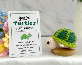 Crochet Turtle Gift: Handmade Desk Decor, Teacher Appreciation