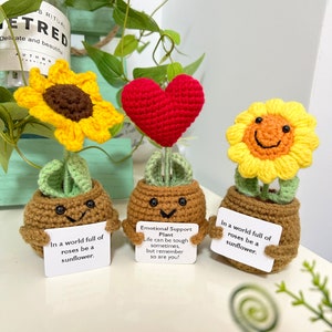 Op maat gemaakte gehaakte bloempotplant, cadeau voor moeder/vrouw/vriendin, schattige bureauaccessoires, liefde uiten 3PCS(One each)