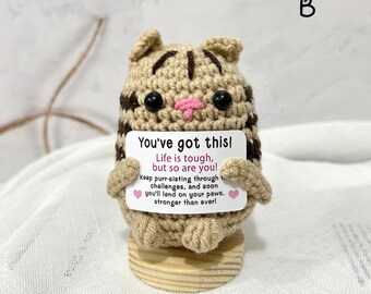 Crochet Cat, Kitten, Mimi, Positive Affirmation Plush, Pocket Reminder Plushie, Handmade Crochet Animals, You've got this！
