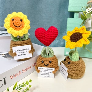 Op maat gemaakte gehaakte bloempotplant, cadeau voor moeder/vrouw/vriendin, schattige bureauaccessoires, liefde uiten afbeelding 1