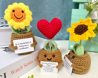 Aangepaste gehaakte bloempotplant, cadeau voor Mather/vrouw/vriendin, schattige bureauaccessoires, expressie van liefde
