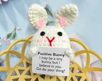 Coniglietto All'Uncinetto Positivo Con Biglietto Motivazionale – Peluche Portafortuna E Supporto Emotivo, Decorazione Ispiratrice Per Casa E Ufficio, Regalo Per Lui E Lei